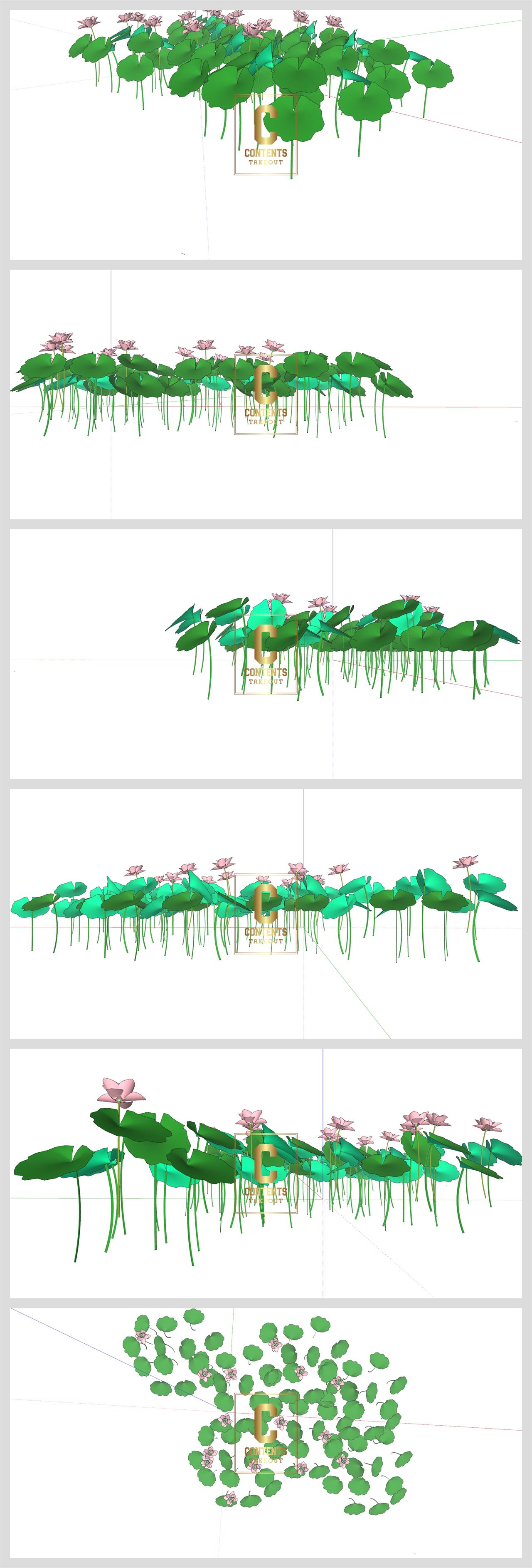 맞춤형 관목 관목식물