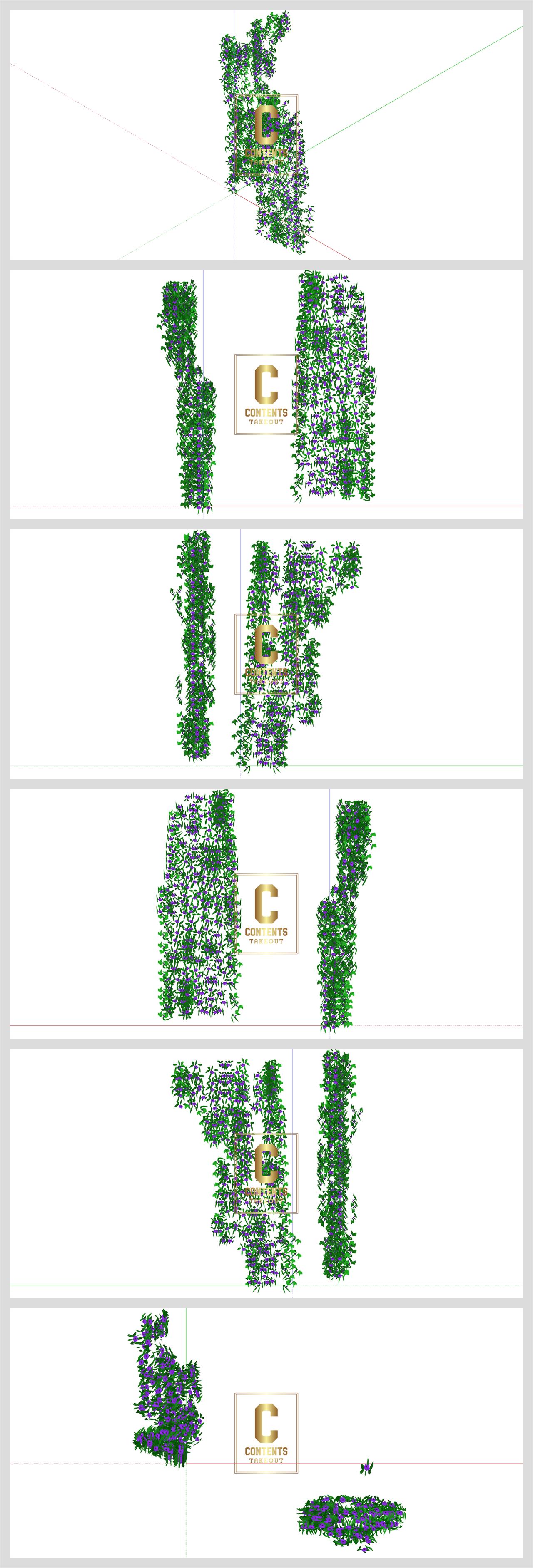 세련된 덩굴 덩굴식물